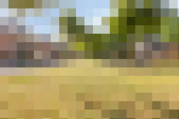 Kloosterdreef 3 Huijbergen thumbnail 48