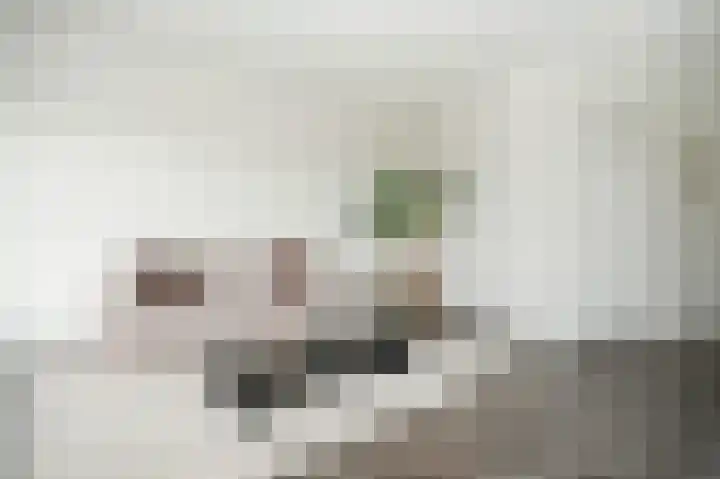 Kloosterdreef 39 Eindhoven thumbnail 10