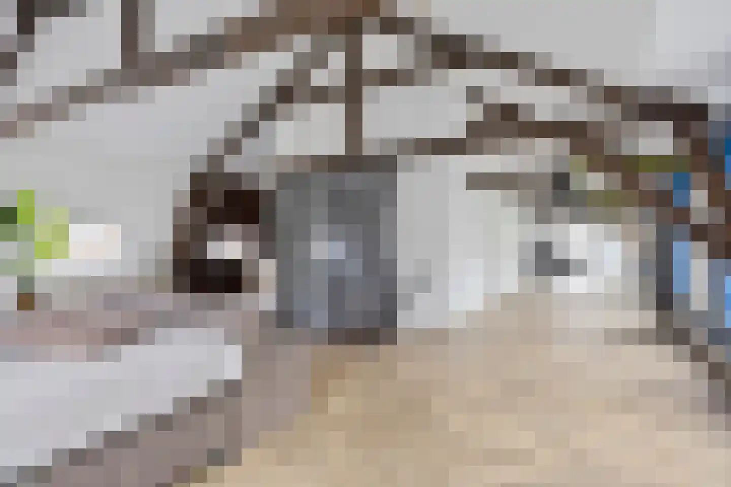 Kloosterdreef 48 Eindhoven thumbnail 22