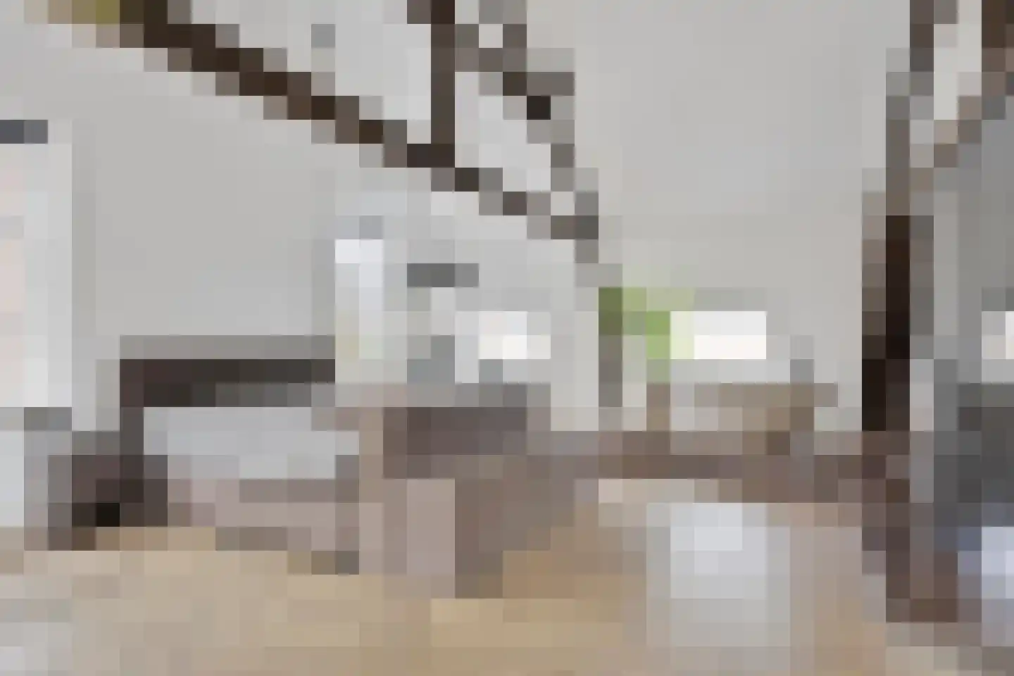 Kloosterdreef 48 Eindhoven thumbnail 23