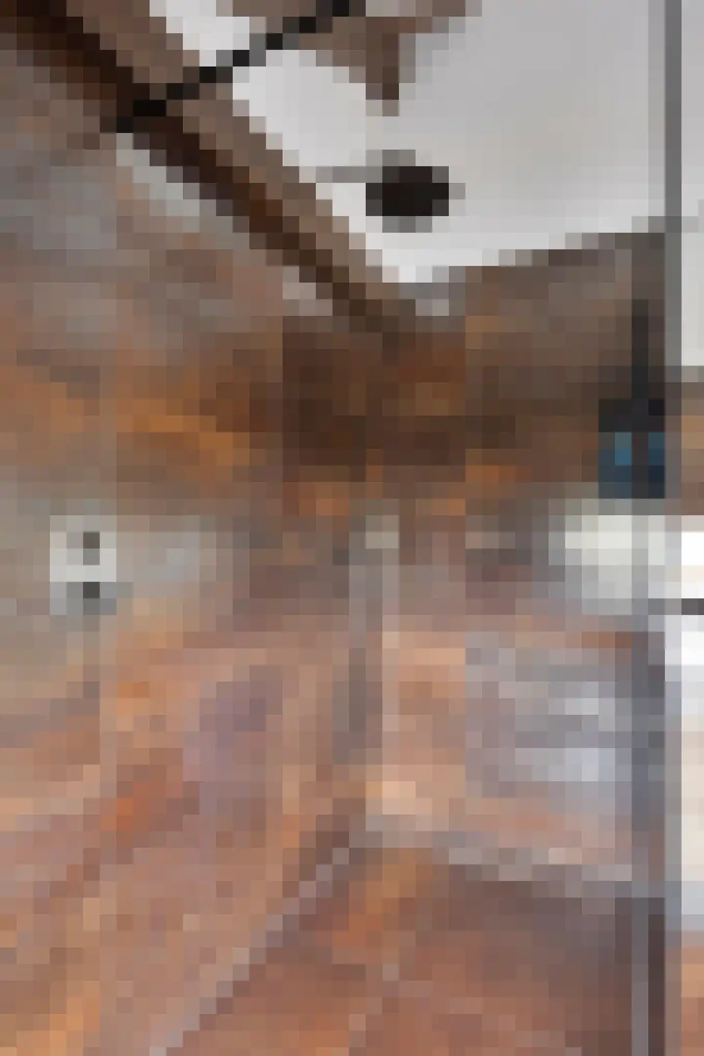 Kloosterdreef 48 Eindhoven thumbnail 25