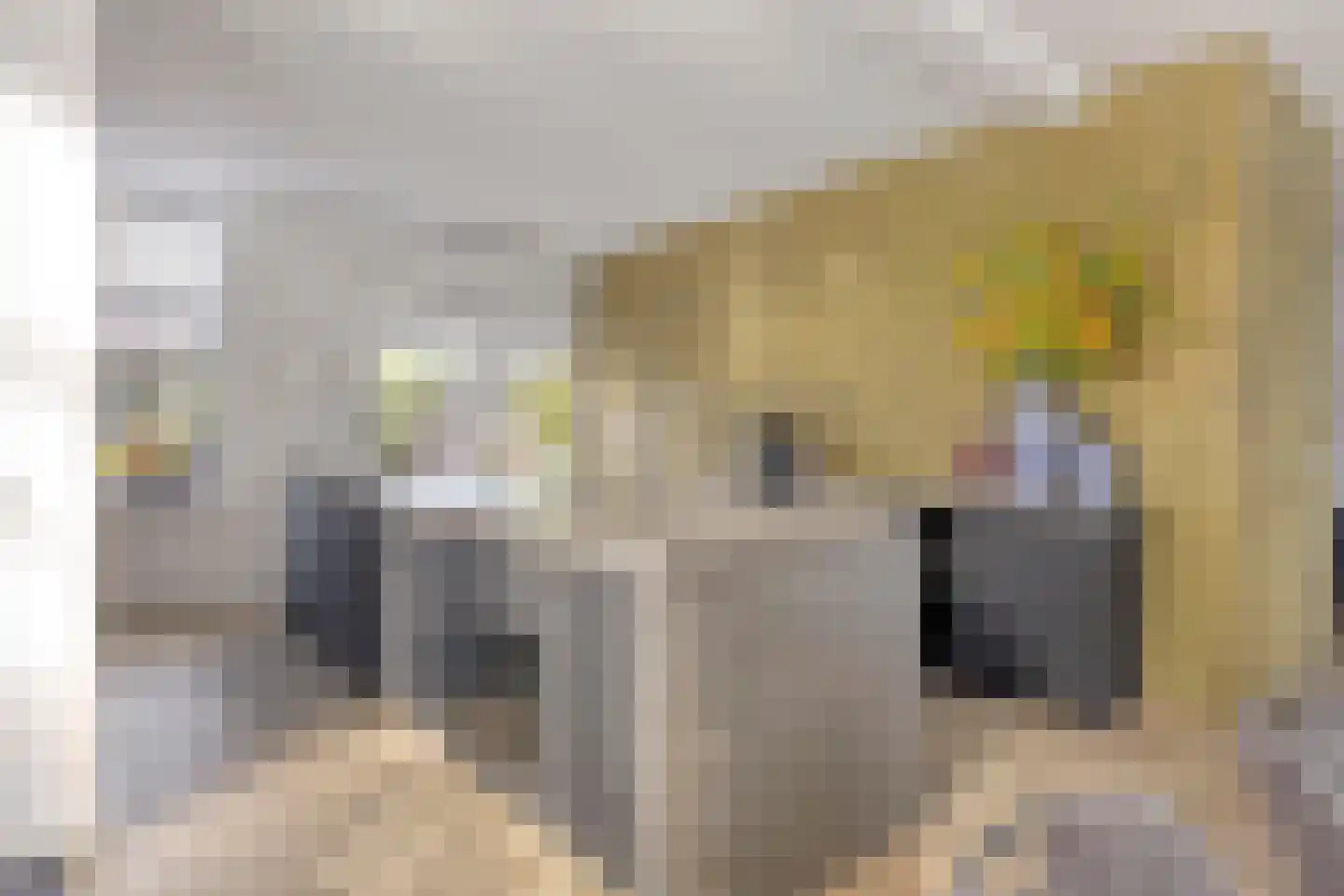 Kloosterdreef 48 Eindhoven thumbnail 5