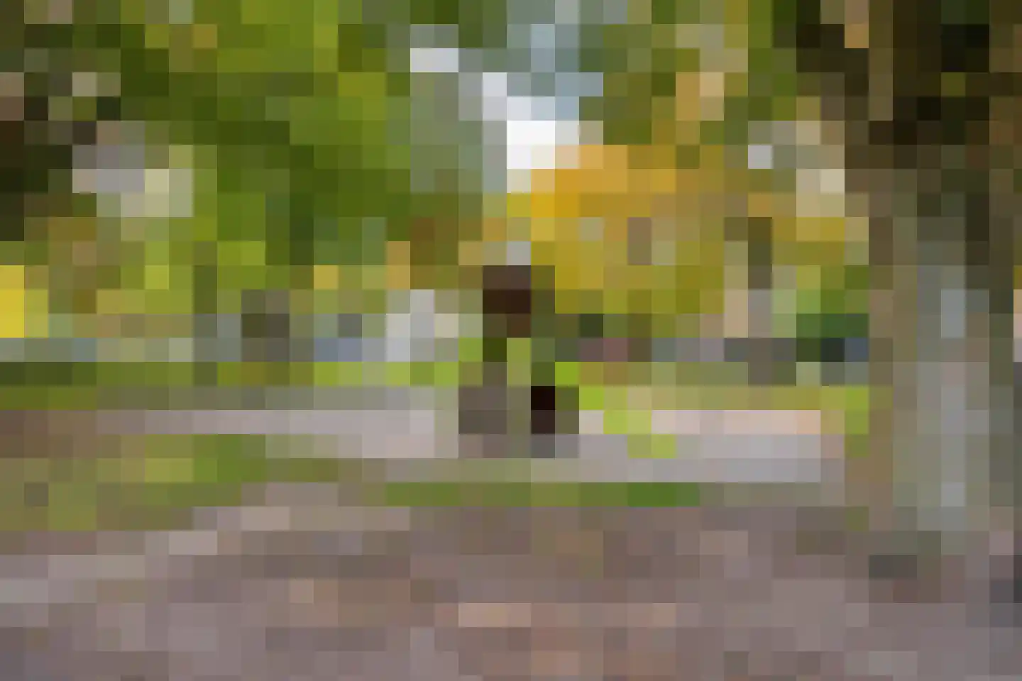 Kloosterdreef 48 Eindhoven thumbnail 59