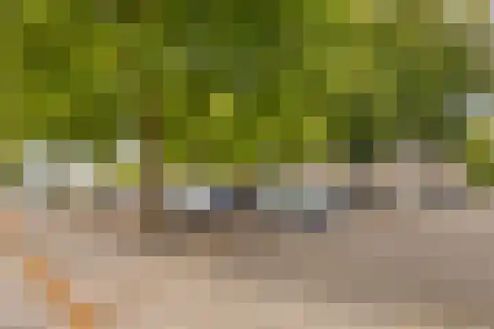 Kloosterdreef 6 Eindhoven thumbnail 17