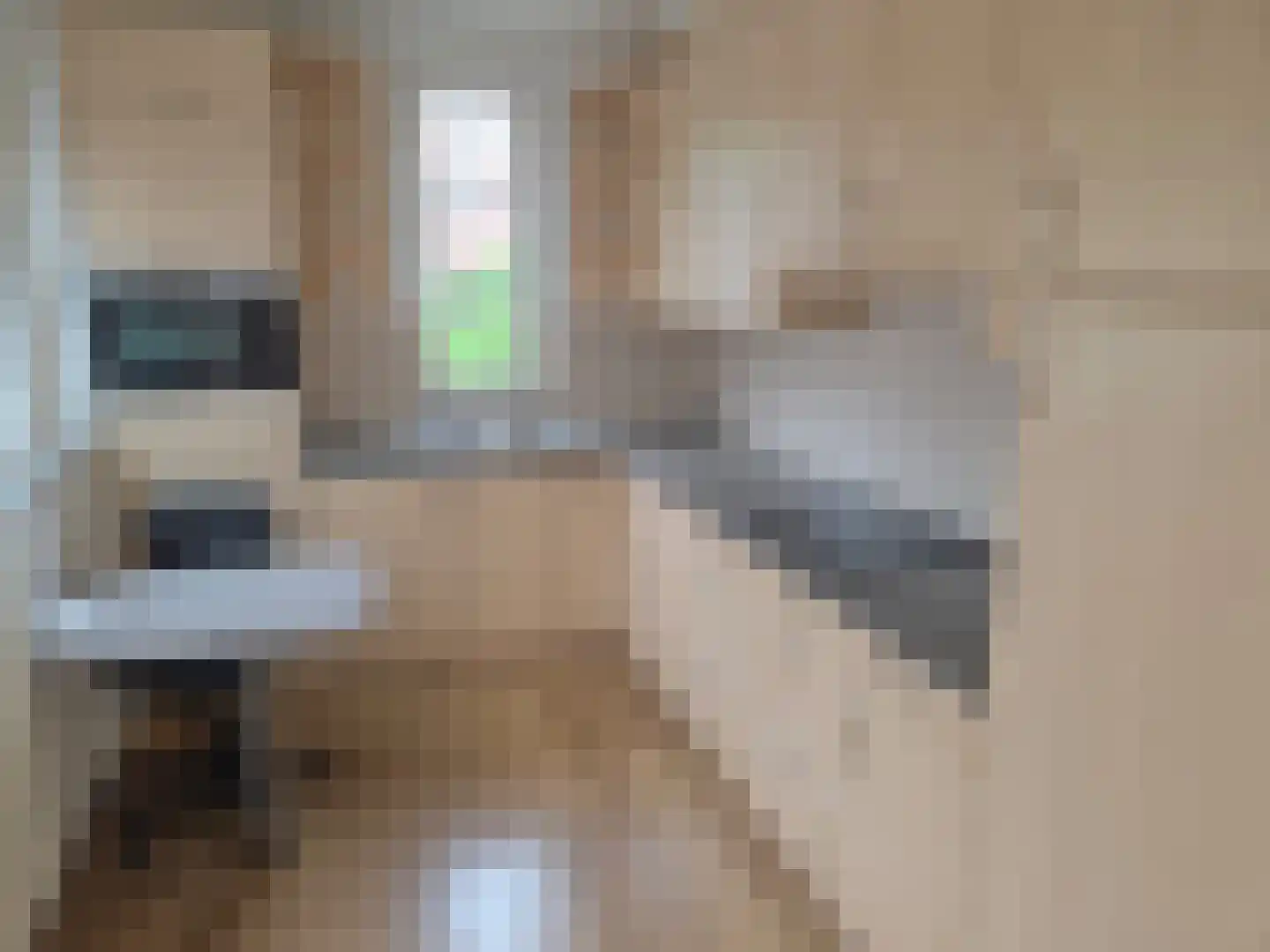 Kloosterdreef 76 Eindhoven thumbnail 18