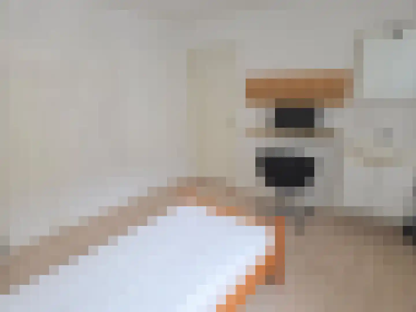 Kloosterdreef 76 Eindhoven thumbnail 30