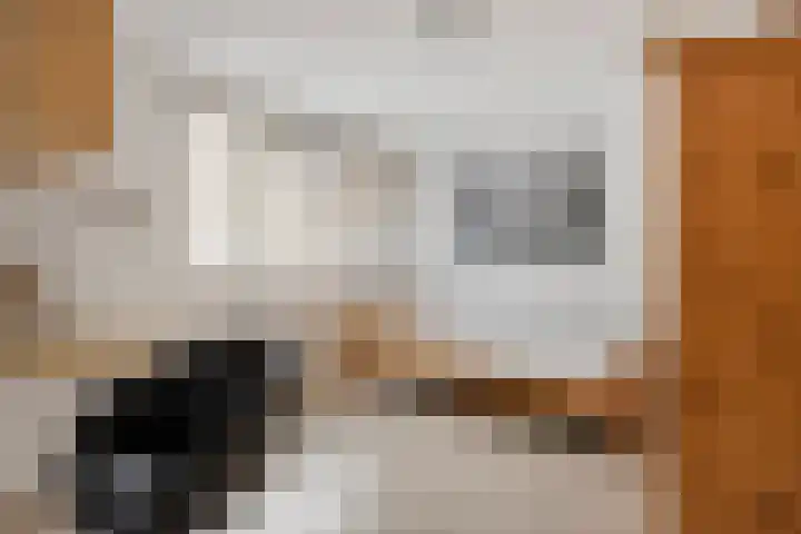 Kloosterdreef 76 Eindhoven thumbnail 34