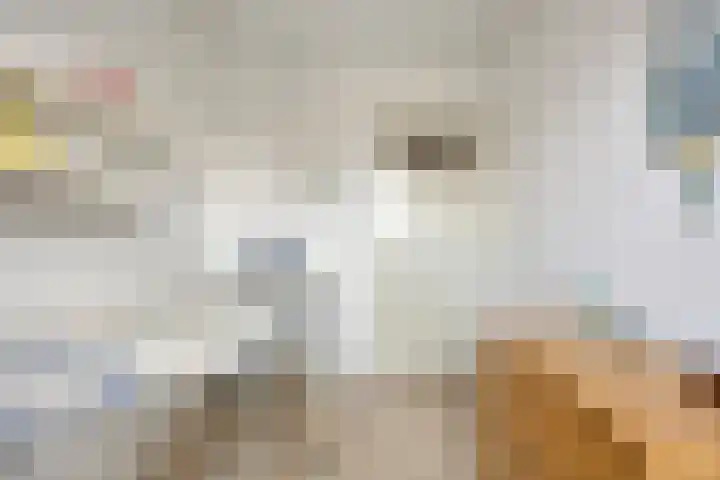 Kloosterdreef 76 Eindhoven thumbnail 37