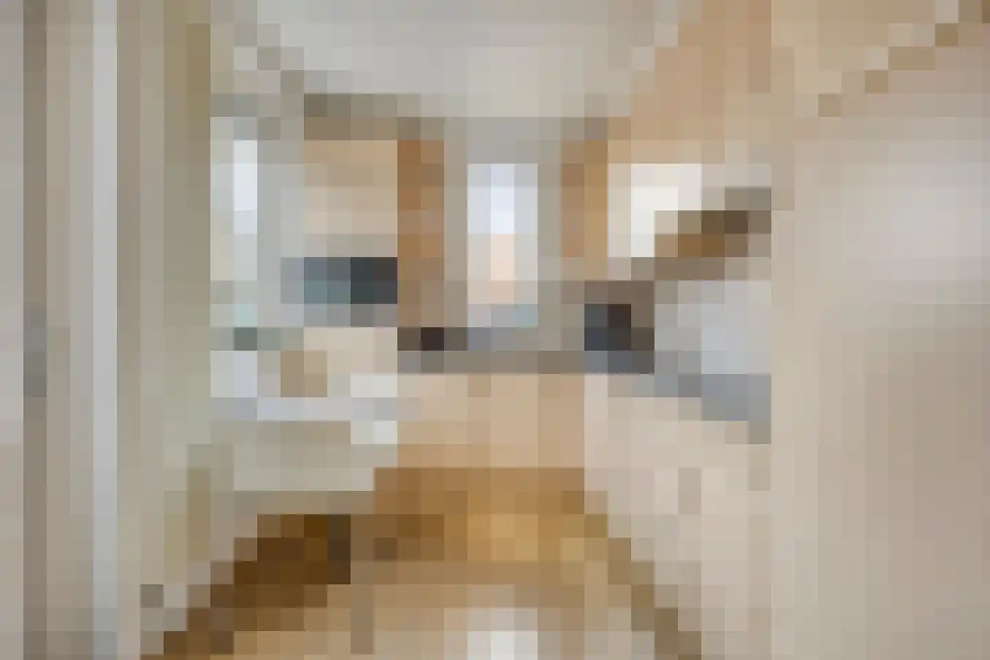 Kloosterdreef 76 Eindhoven thumbnail 4