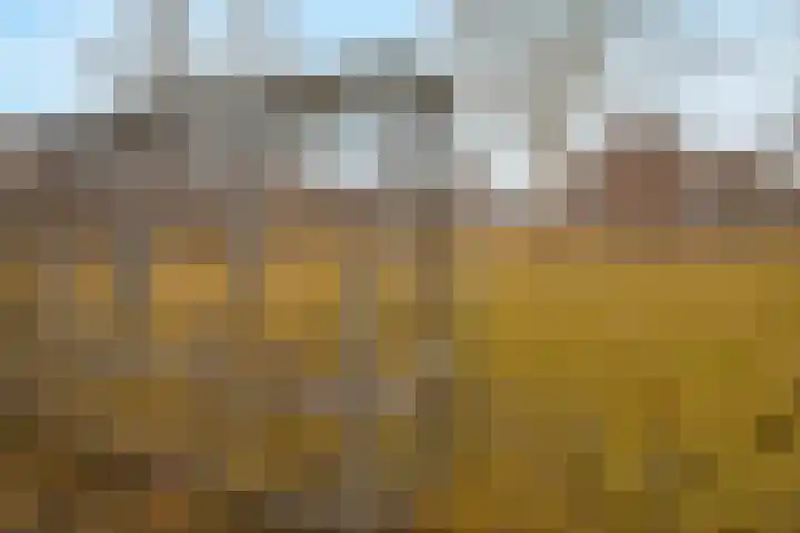 Kloosterdrift 13 Nieuwegein thumbnail 26