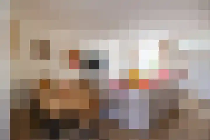 Kloosterdrift 26 Nieuwegein thumbnail 10