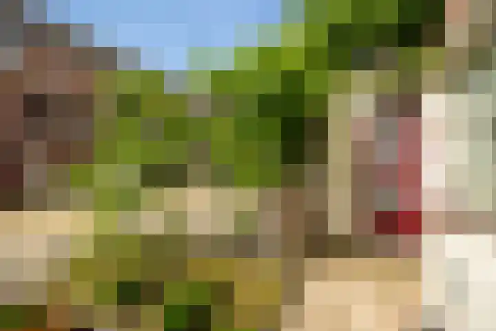 Kloosterdrift 26 Nieuwegein thumbnail 35