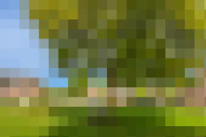 Kloosterdrift 26 Nieuwegein thumbnail 41