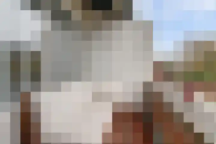 Kloosterdrift 43 Nieuwegein thumbnail 13