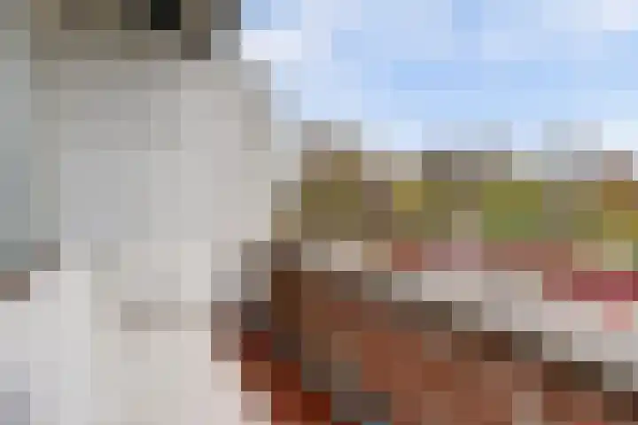Kloosterdrift 43 Nieuwegein thumbnail 14