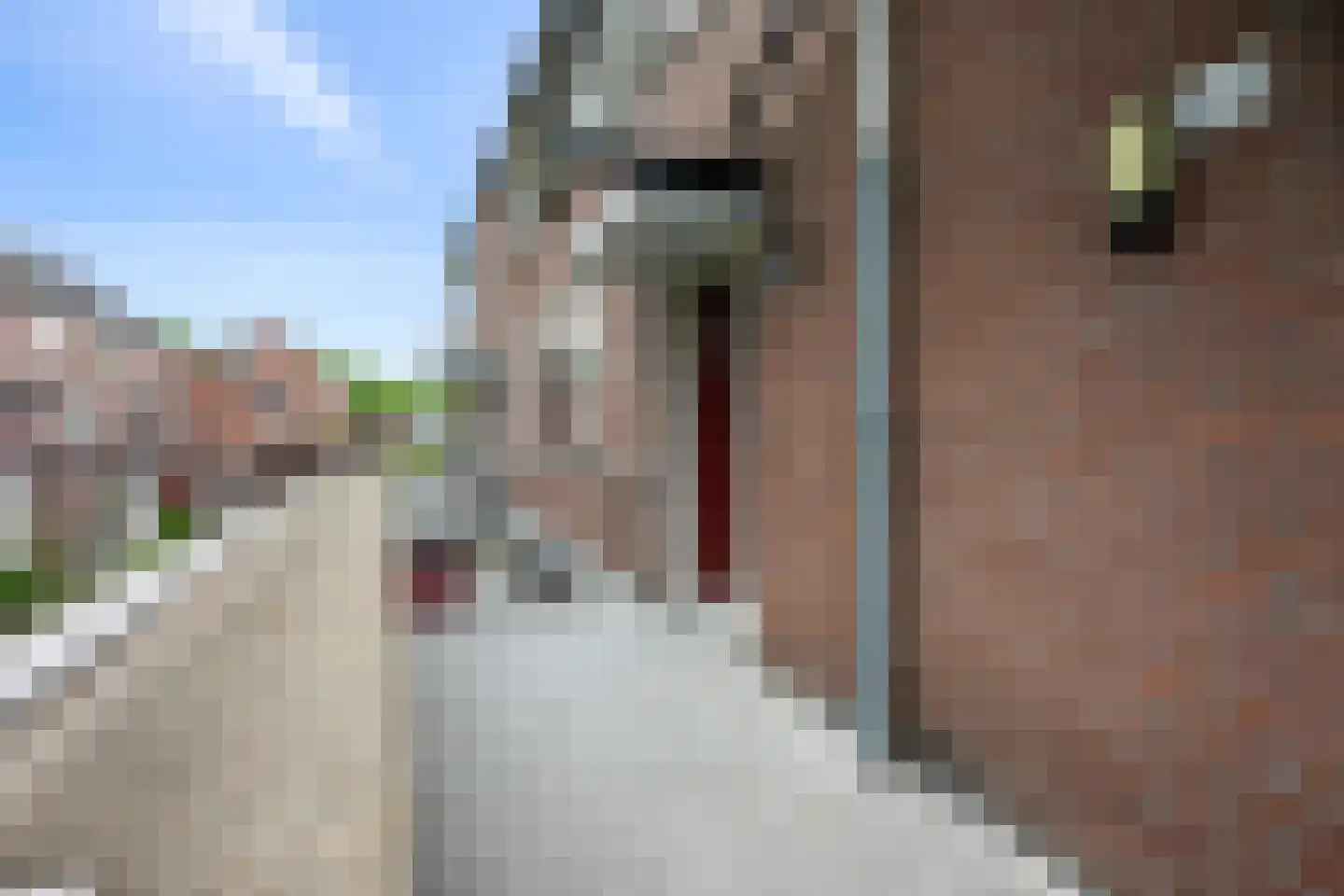 Kloosterdrift 56 Nieuwegein thumbnail 8