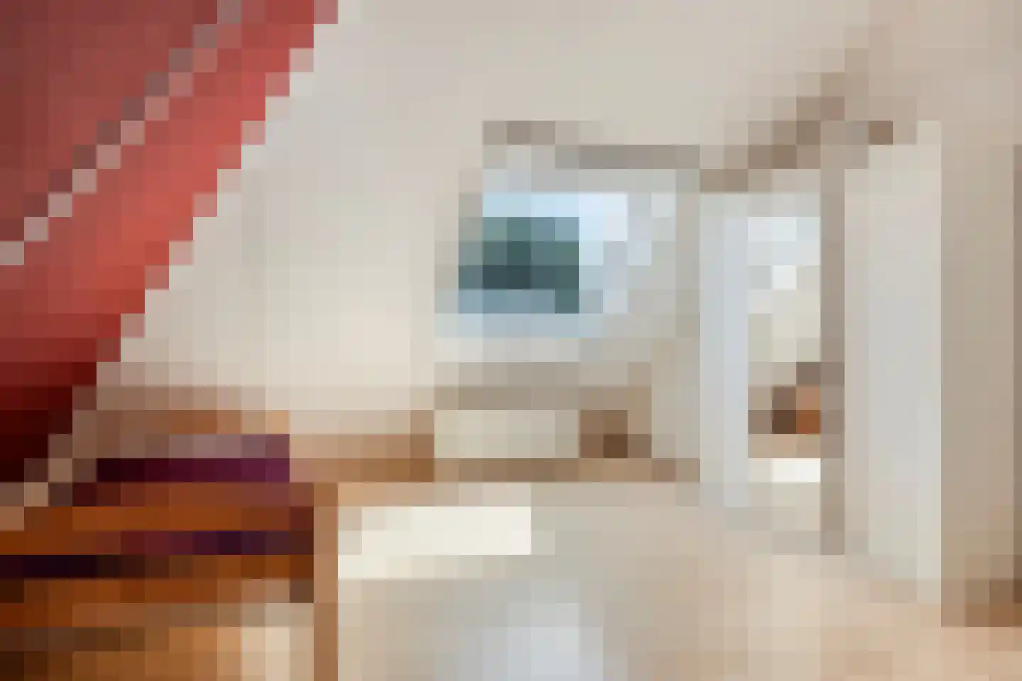 Kloosteregge 8 Scherpenzeel thumbnail 18