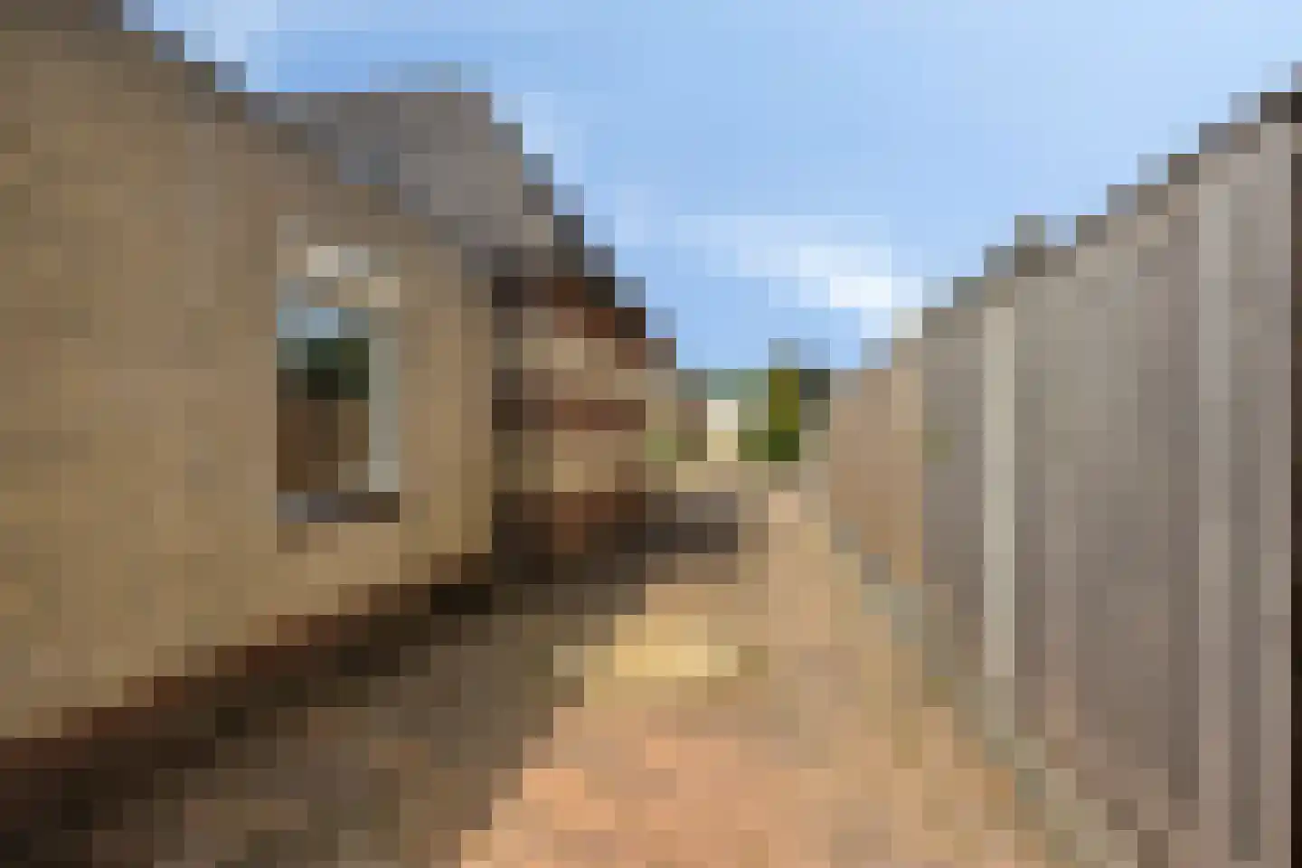 Kloosteregge 8 Scherpenzeel thumbnail 22