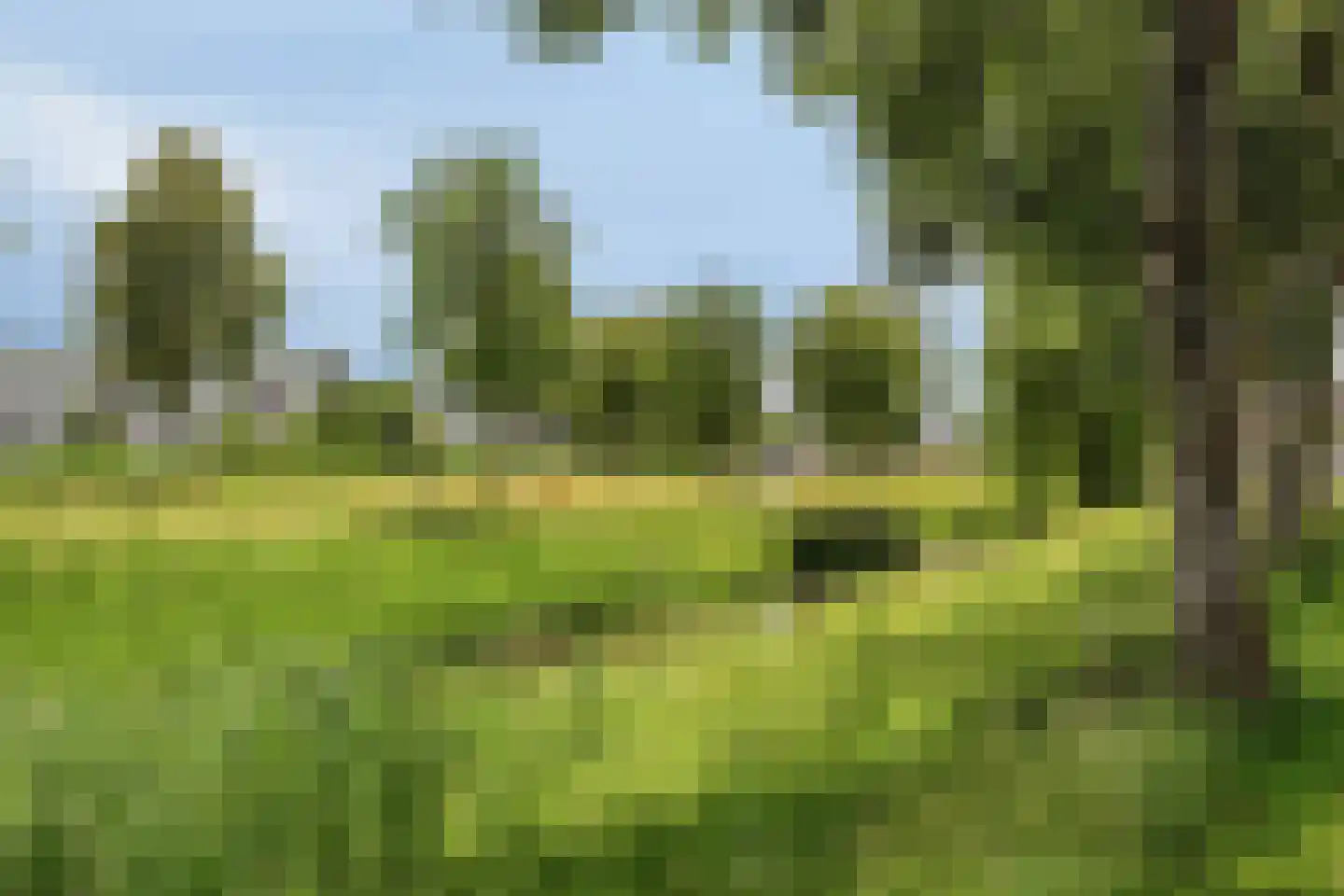 Kloosteregge 8 Scherpenzeel thumbnail 26