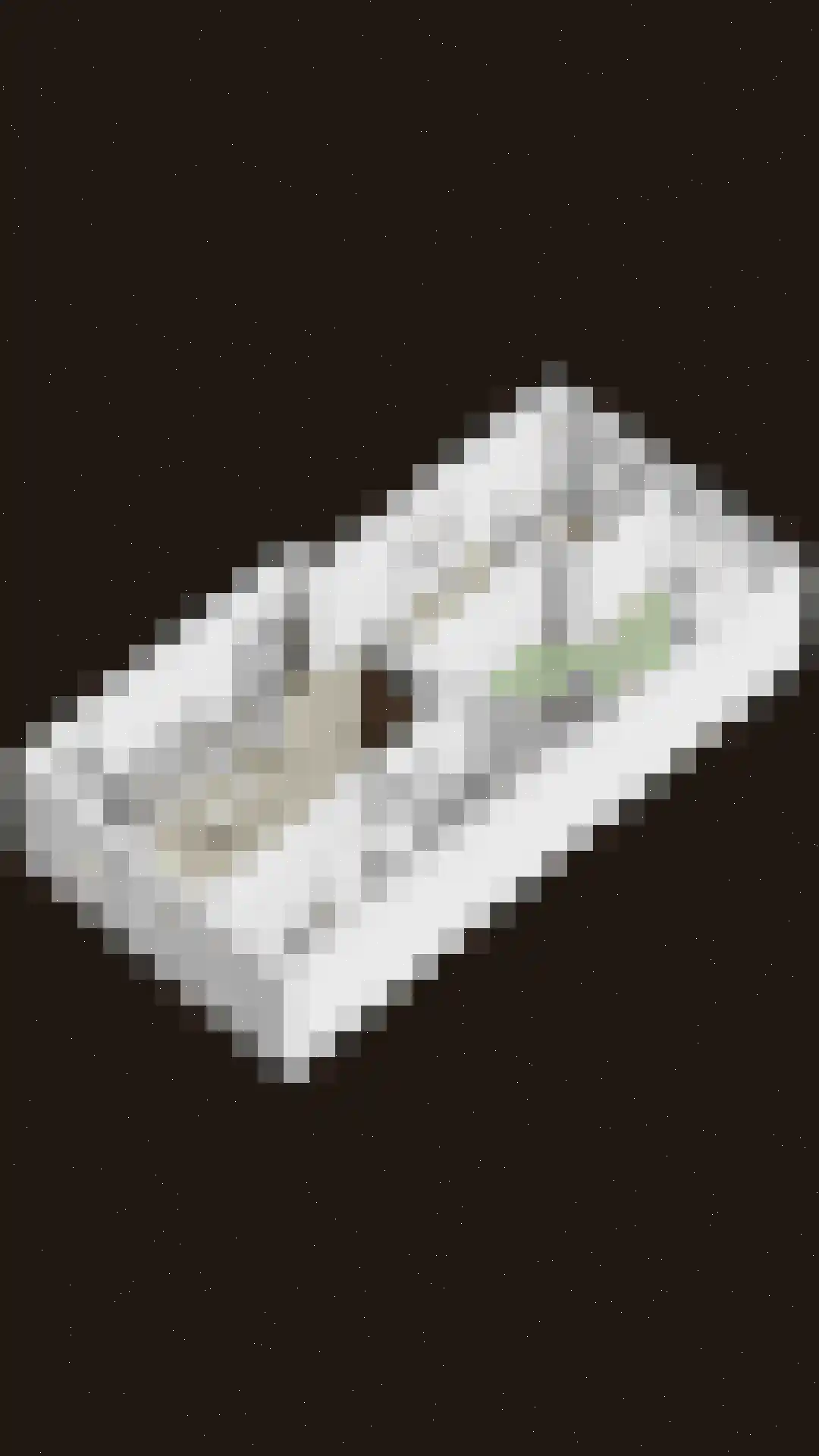 Kloosteregge 8 Scherpenzeel thumbnail 31