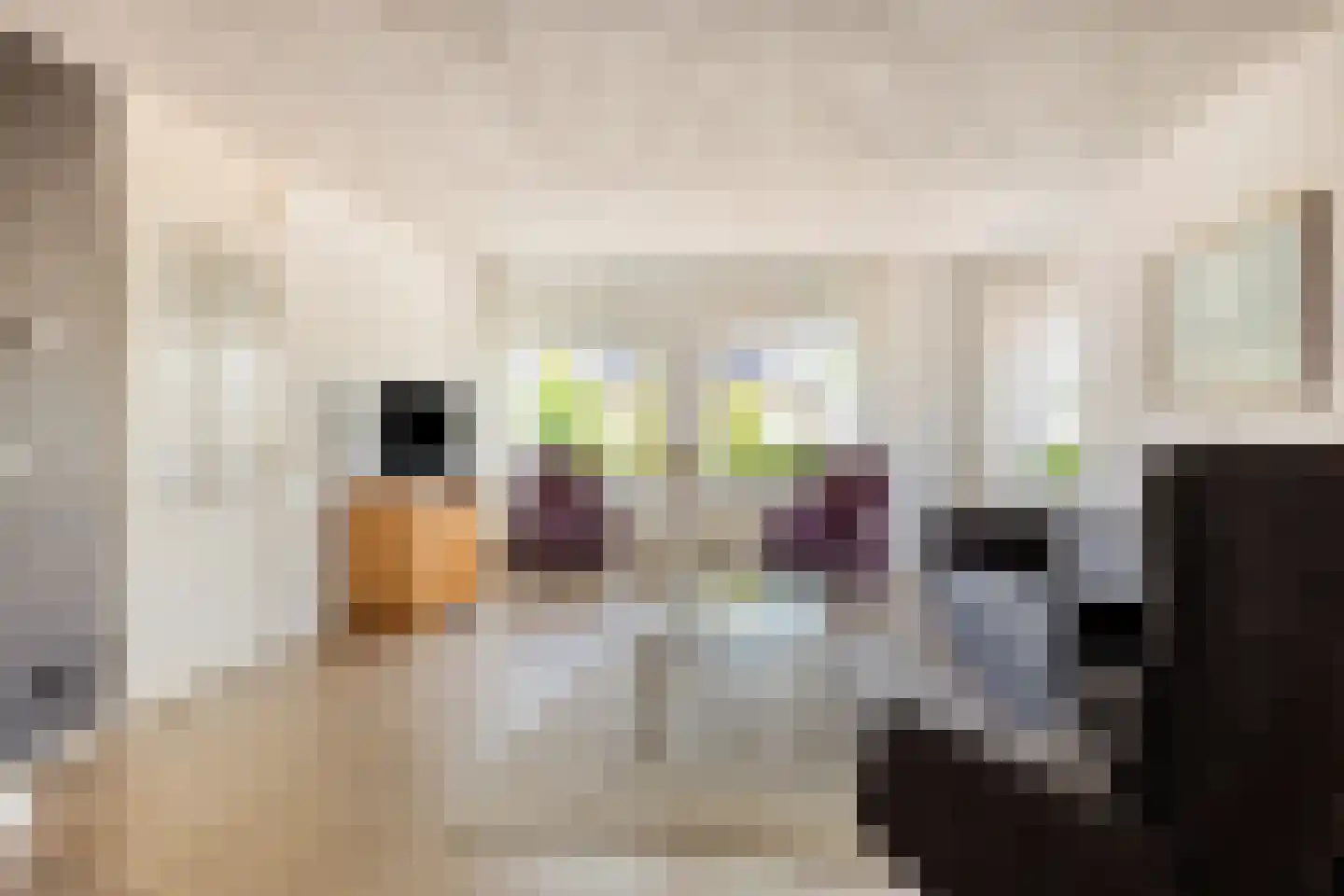 Kloosteregge 8 Scherpenzeel thumbnail 5