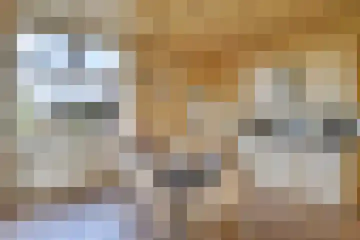 Kloostereind 5 Asten thumbnail 18
