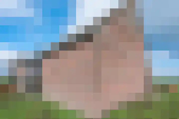 Kloostereind 5 Asten thumbnail 25