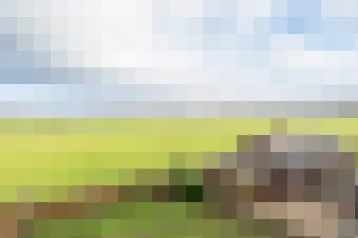 Kloostereind 5 Asten thumbnail 43