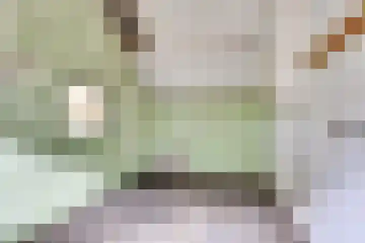 Kloostereind 5 Asten thumbnail 46