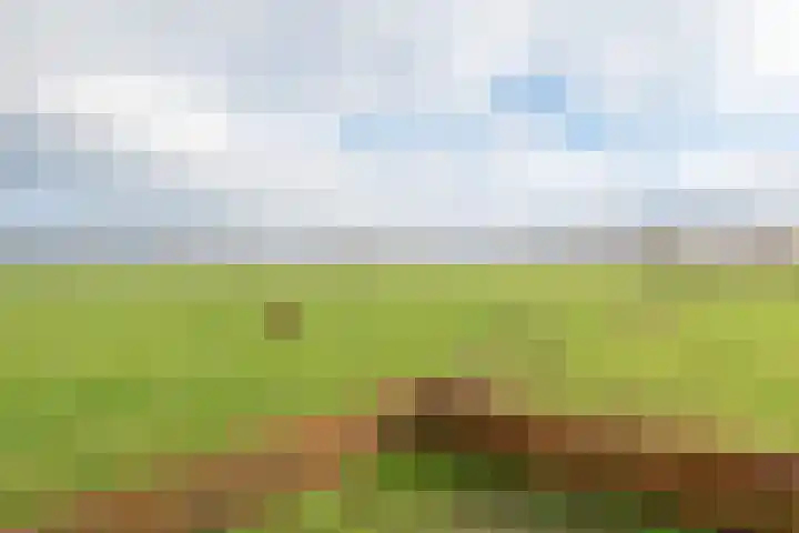 Kloostereind 5 Asten thumbnail 48