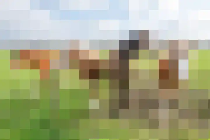 Kloostereind 5 Asten thumbnail 49