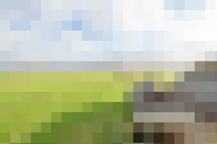 Kloostereind 5 Asten thumbnail 6