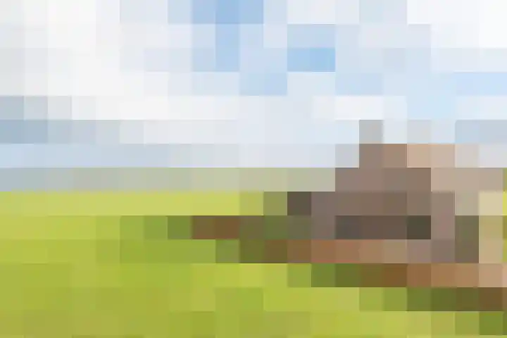 Kloostereind 5 Asten thumbnail 9