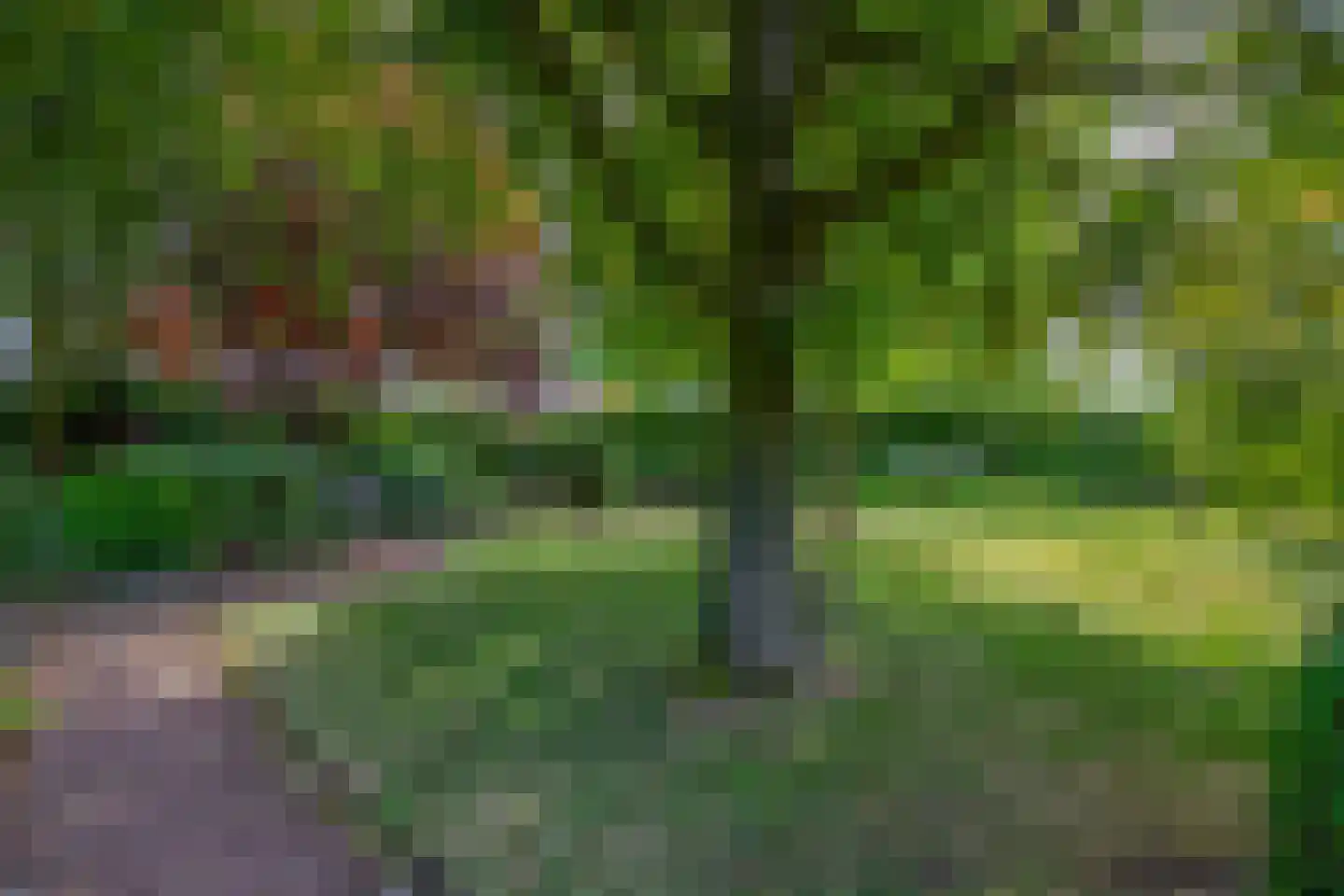 Kloostergang 13 Winschoten thumbnail 37