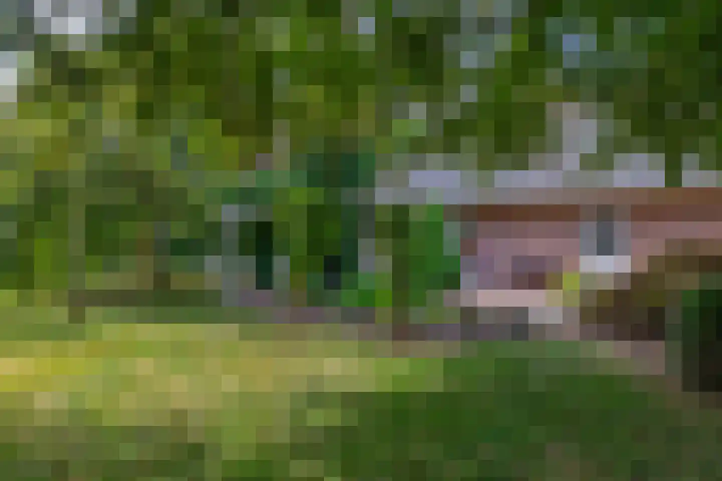 Kloostergang 13 Winschoten thumbnail 41