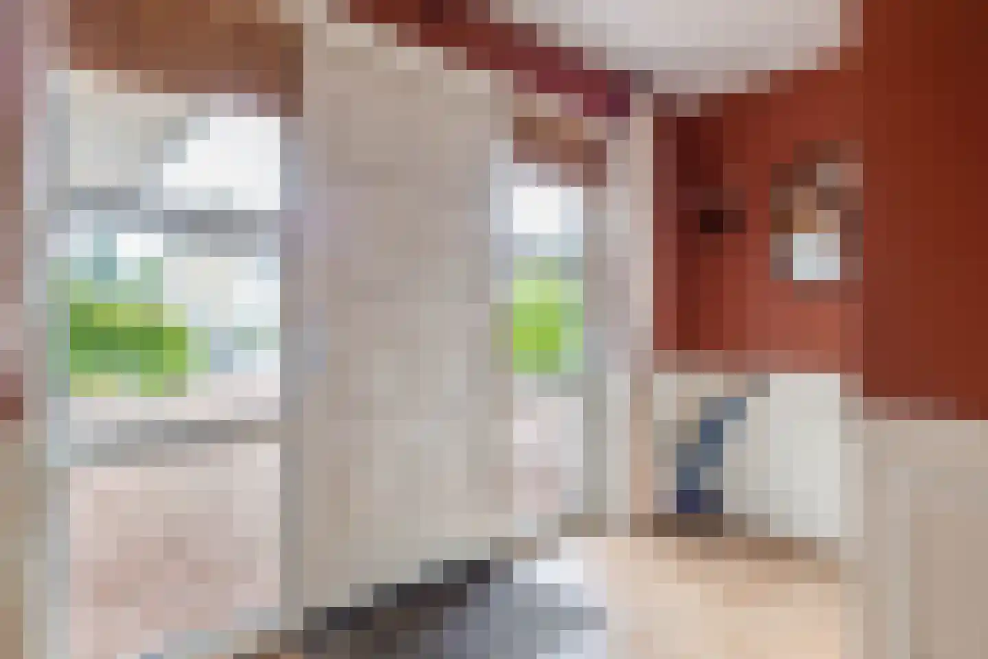 Kloostergang 13 Winschoten thumbnail 5