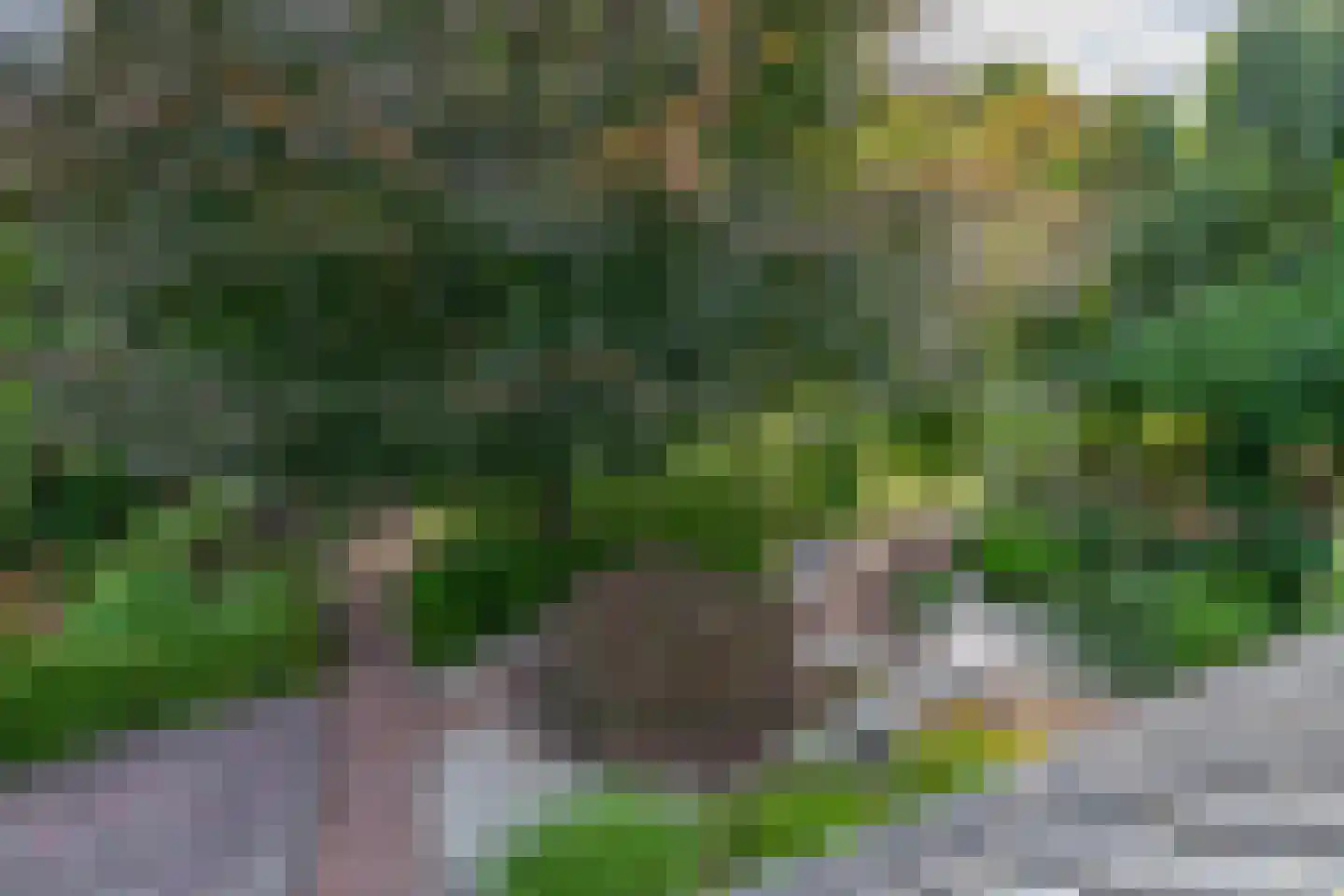 Kloostergang 13 Winschoten thumbnail 51