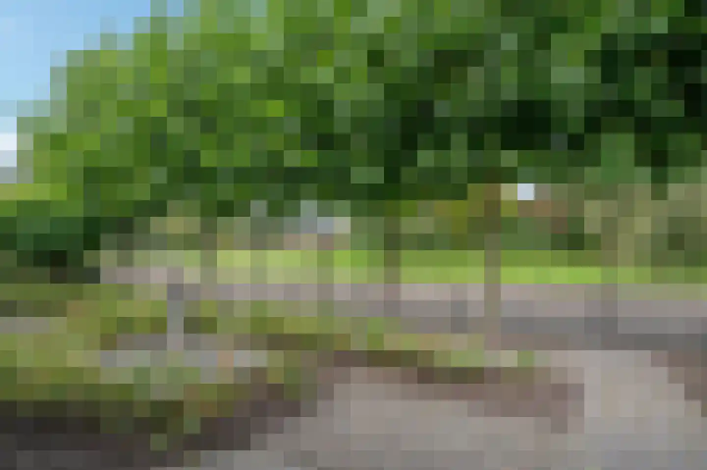 Kloostergang 50 Winschoten thumbnail 47