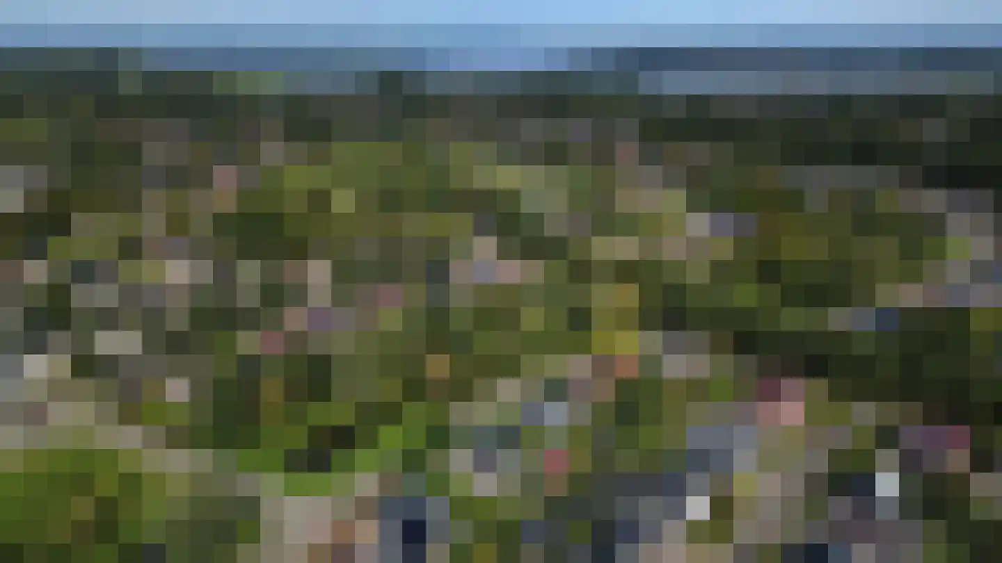 Kloostergang 50 Winschoten thumbnail 71