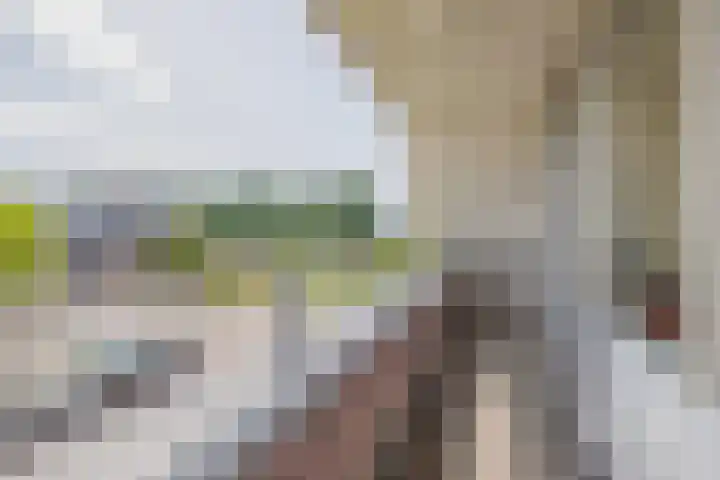 Kloostergang 6 Winschoten thumbnail 28
