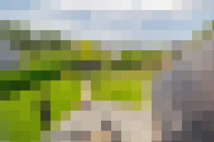 Kloostergang 6 Winschoten thumbnail 35
