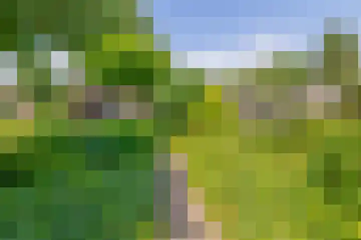 Kloostergang 6 Winschoten thumbnail 37