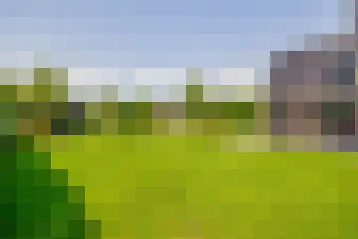 Kloostergang 6 Winschoten thumbnail 40
