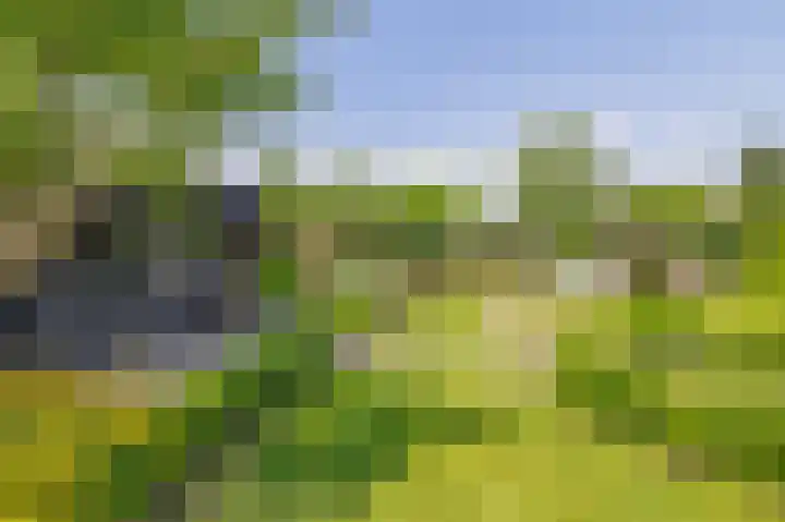 Kloostergang 6 Winschoten thumbnail 42