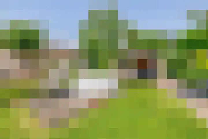 Kloostergang 6 Winschoten thumbnail 43