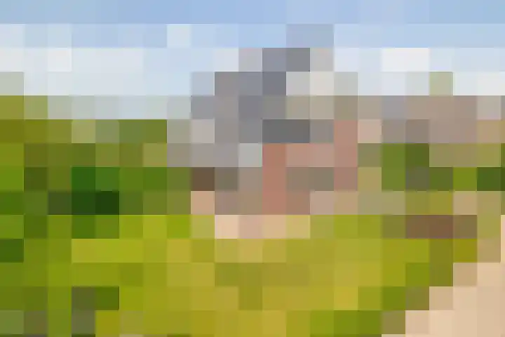 Kloostergang 6 Winschoten thumbnail 46
