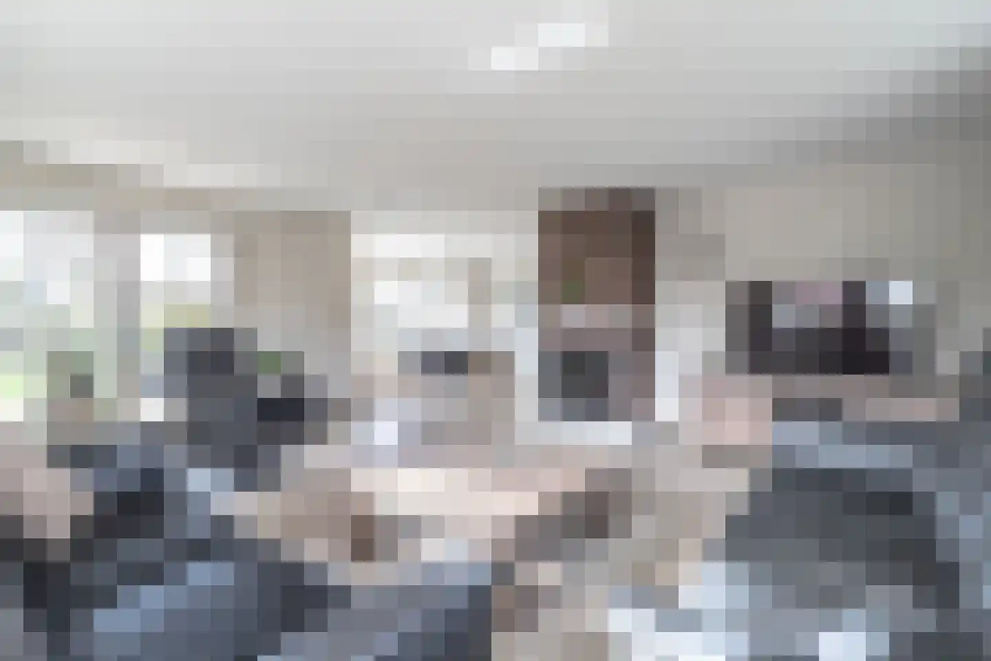 Kloostergang 91 Winschoten thumbnail 15