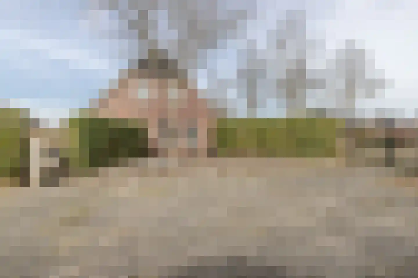Kloostergang 91 Winschoten thumbnail 49
