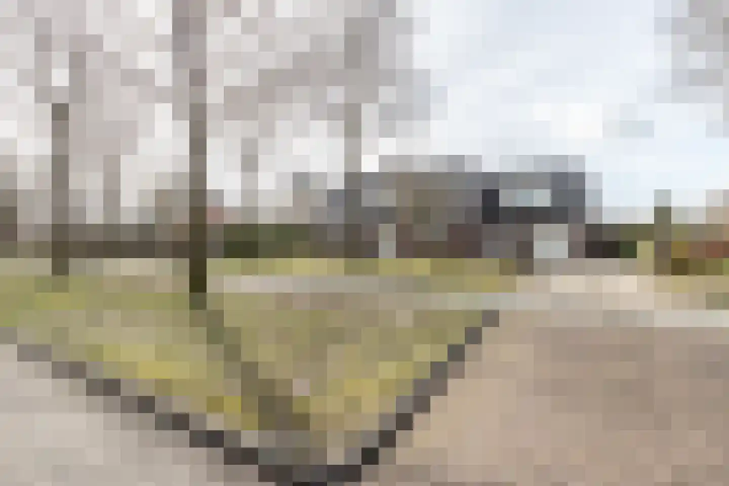 Kloostergang 91 Winschoten thumbnail 5