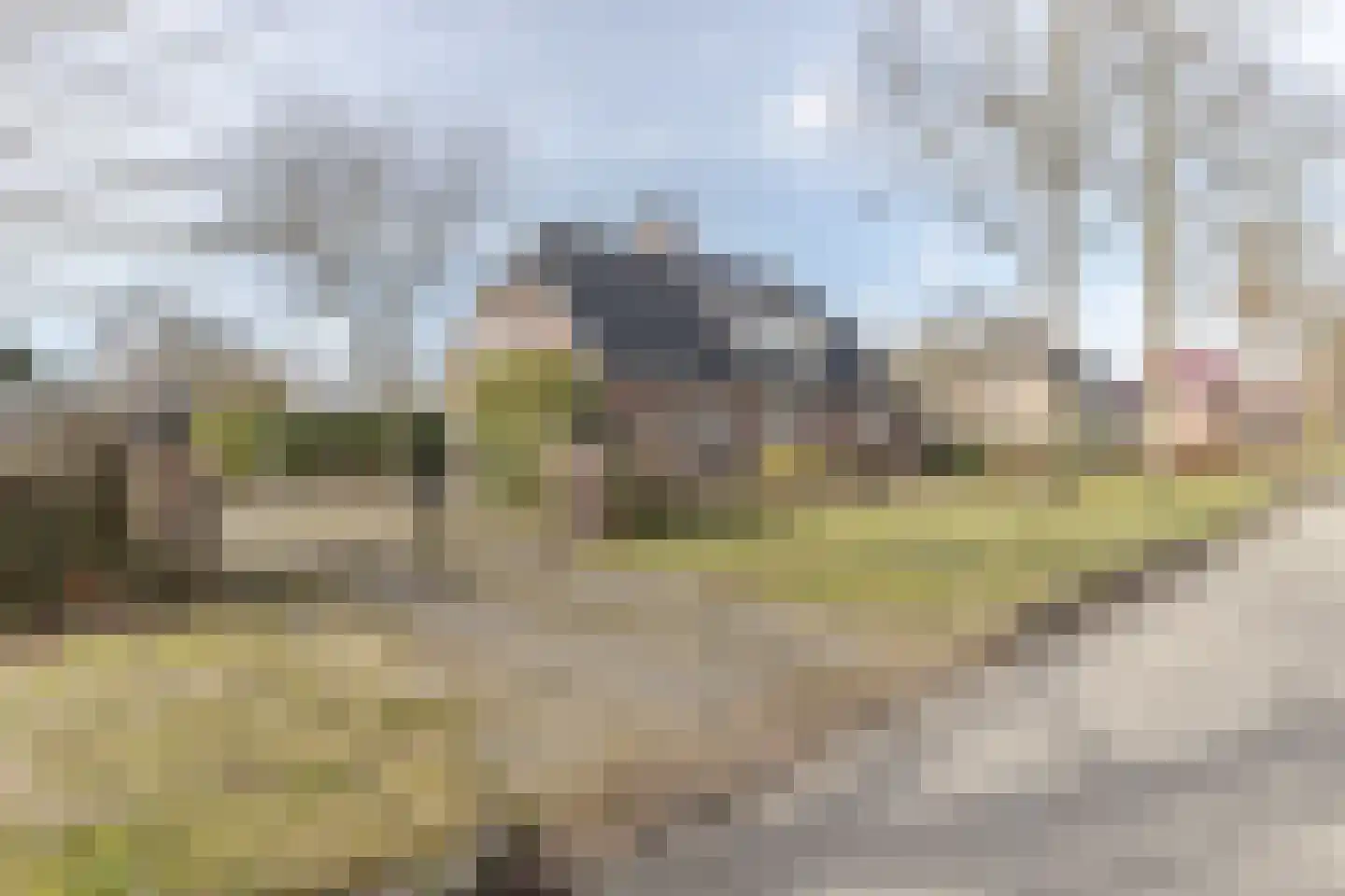 Kloostergang 91 Winschoten thumbnail 52